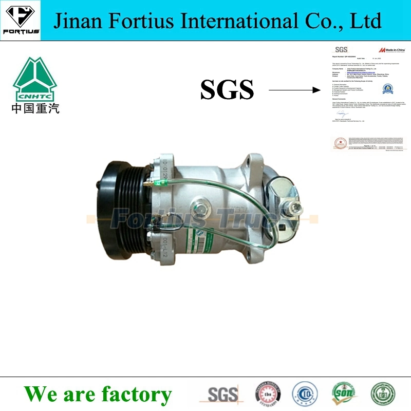 Sinotruk HOWO Wg1500139016 A/C Compressor Auto/Engine/Car/Machinery/Trailer Truck Parts for Shacman Camc FAW Foton Dongfeng JAC Dump Truck