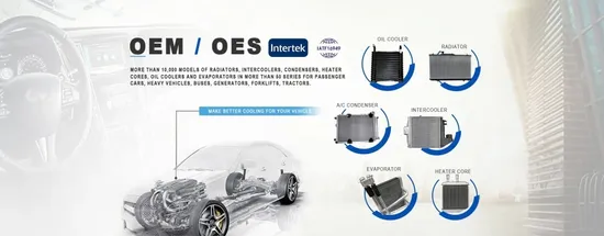 High Quality Auto AC Evaporator Core with Factory Price for Benz W164